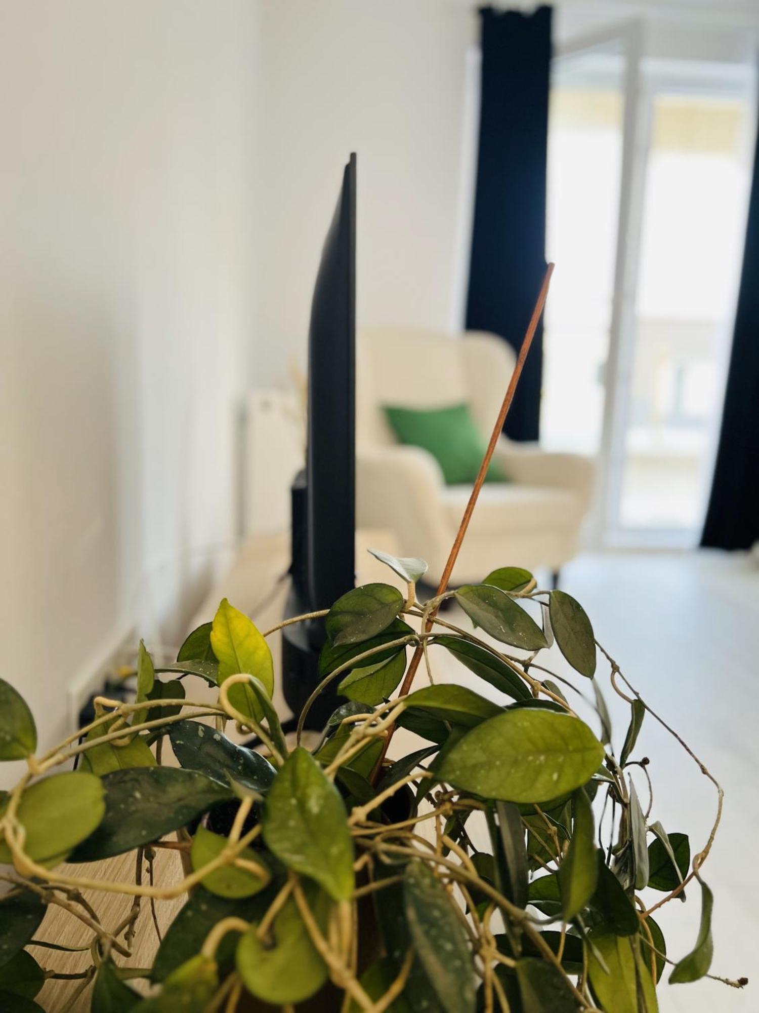 Airport Gardens Loft Apartment Otopeni Exterior photo